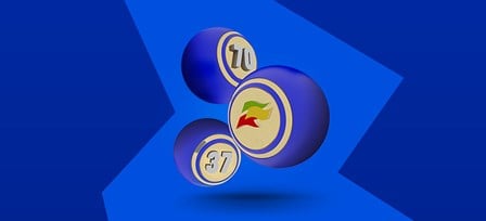 28072-Coral-T4-SocialRO-Full-House-Bingo-Network-2025-OnS-Cas-PH-800x360